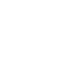 partner 4